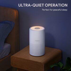 FULMINARE Air Purifiers for Bedroom, FULMINARE H13 True HEPA Air Filter, Quiet Air Cleaner With Night Light,Portable Small Air Purifier for Home, Office,Pet